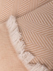 17034329_34170716_1000